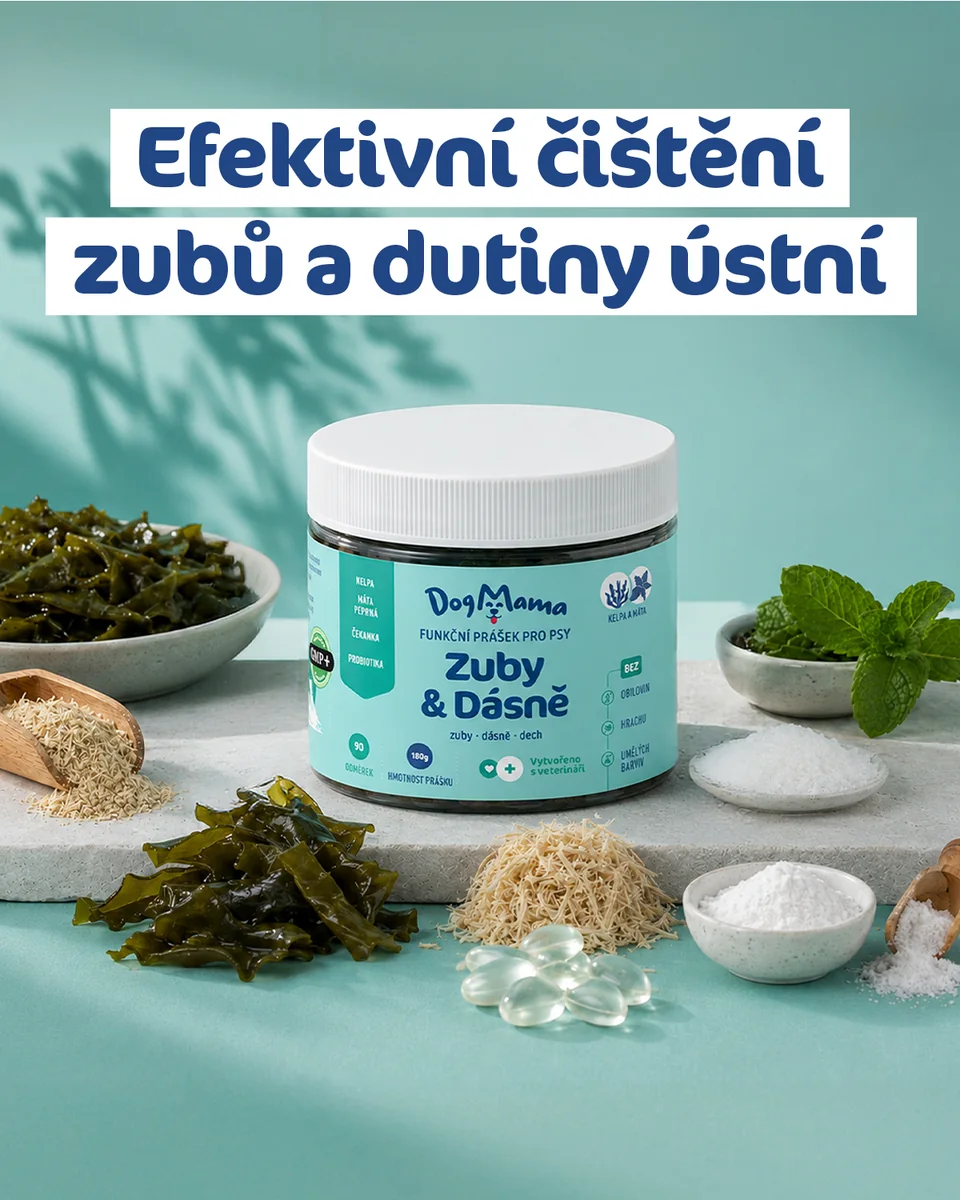 DogMama Zuby a ďasná v produktovej kompozícii